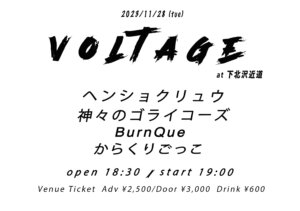 VOLTAGE