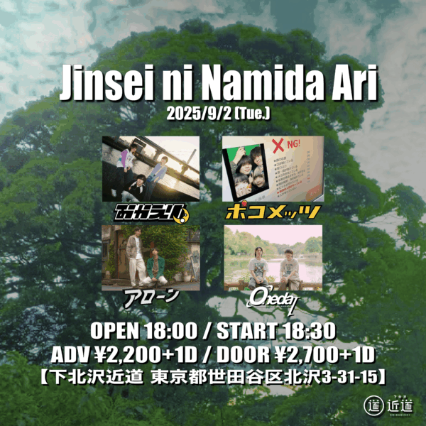 Jinsei ni Namida Ari