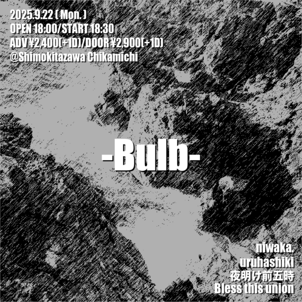 『Bulb』