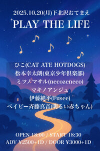 PLAY THE LIFE
