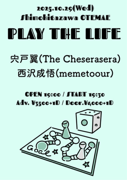 PLAY THE LIFE