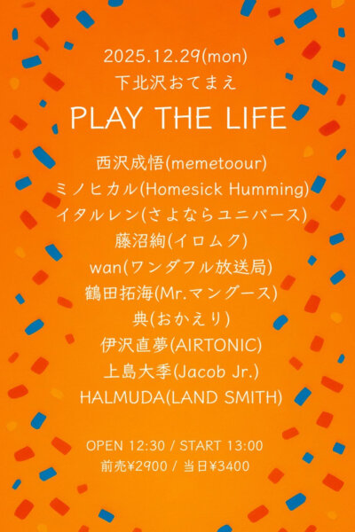 PLAY THE LIFE