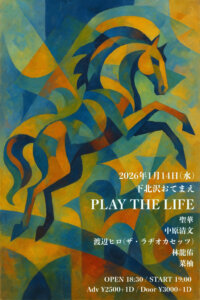 PLAY THE LIFE
